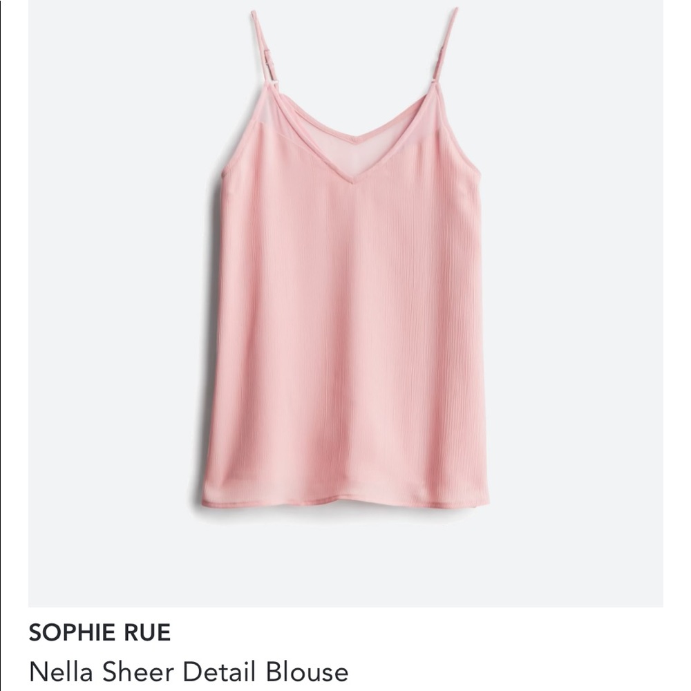 Sophie Rue Sheer Detail Blouse